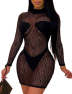 XXXITICAT Women's See Through Night Club Dress Sheer Mesh Stretchy Long Sleeve Turtleneck Leopard Print Bodycon Mini Dresses